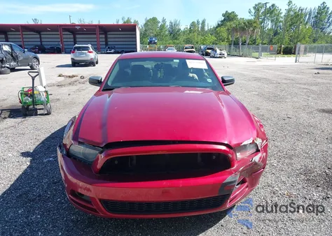 2014 Ford Mustang z USA, uszkodzony, nr VIN 1ZVBP8AM9E5230941